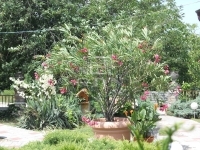 Tököl Einfamilienhaus 36