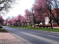 Tököl Einfamilienhaus 39