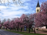 Tököl Einfamilienhaus 0