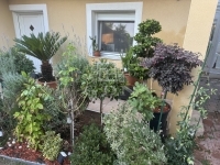 Szigetszentmiklós Family House 25
