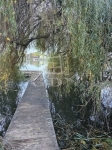 Dunavarsány 夏季别墅 3