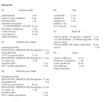 Vácszentlászló Einfamilienhaus 7