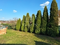 Kistarcsa Casa Familiala 17