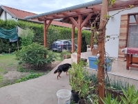 Hévízgyörk 家庭别墅 1