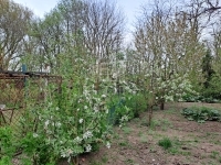 Hévízgyörk 家庭别墅 10