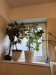 Budapest XIII. kerület Wohnung (Ziegel) 8